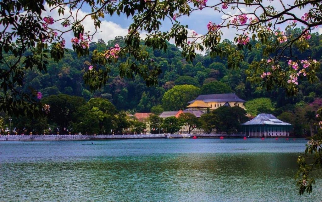Nisansala Homestay Kandy Deiyannewela Dış mekan fotoğraf
